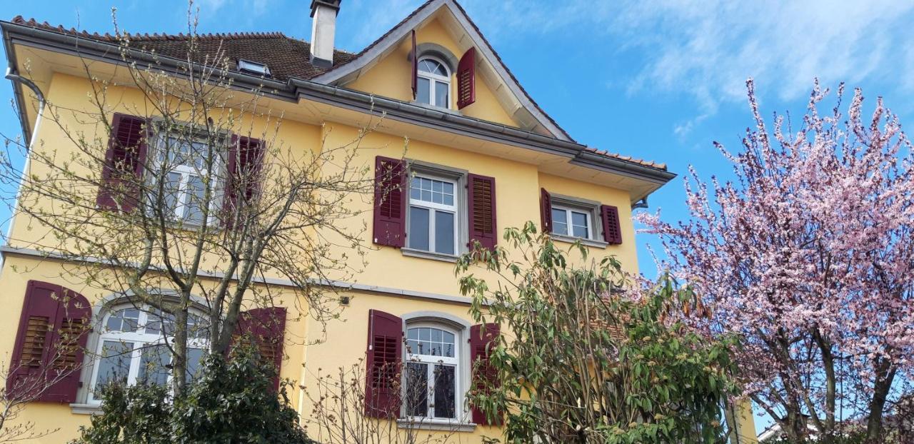 Ferienwohnung Stein Am Rhein Nahe Bahnhof Und Rhein Bagian luar foto