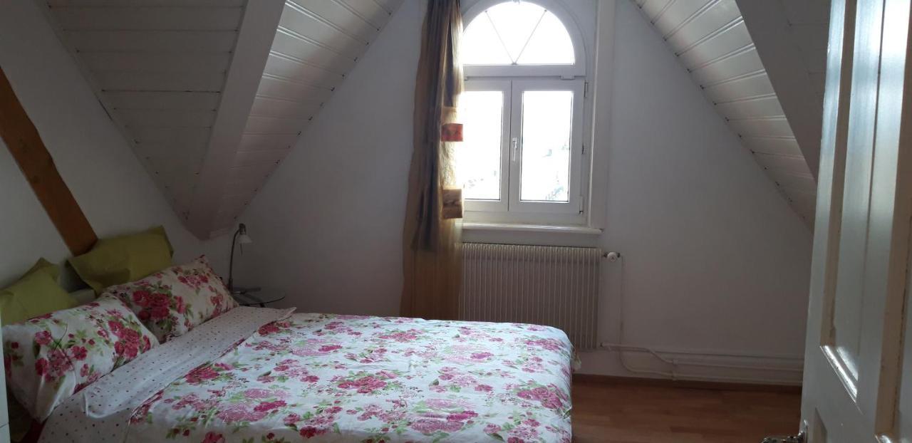 Ferienwohnung Stein Am Rhein Nahe Bahnhof Und Rhein Bagian luar foto