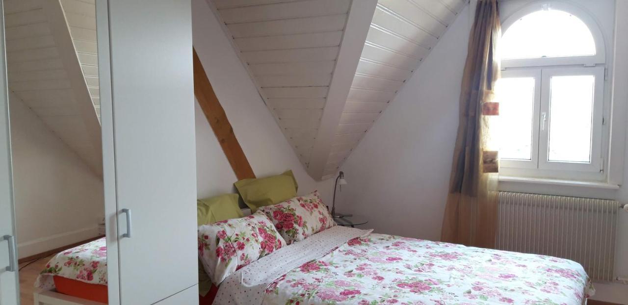 Ferienwohnung Stein Am Rhein Nahe Bahnhof Und Rhein Bagian luar foto
